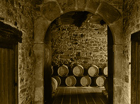Barriles dentro de Bodegas Pittacum en el Bierzo